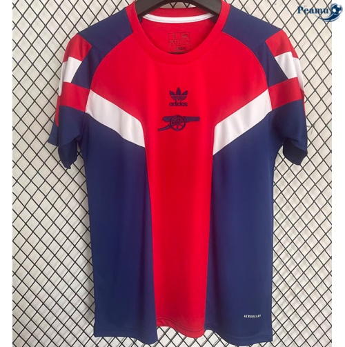 Fornire Maglia Calcio Arsenal T-shirt edizione speciale 2024-2025