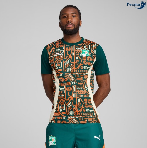Grossista Maglia Calcio Costa d'Avorio Pre-match 2024-2025