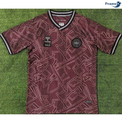 Nuovo Maglia Calcio Danimarca edizione speciale 2024-2025