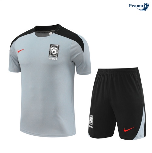 Shopping Kit Maglia Formazione Corée + Pantaloncini grigio 2024-2025