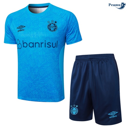 Offrire Kit Maglia Formazione Gremio + Pantaloncini blu 2024-2025