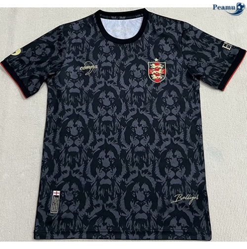 Grossista Maglia Calcio Inghilterra edizione speciale 2024-2025