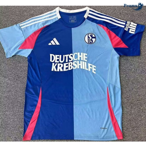 Vendita Maglia Calcio Schalke 04 edizione speciale blu 2024-2025