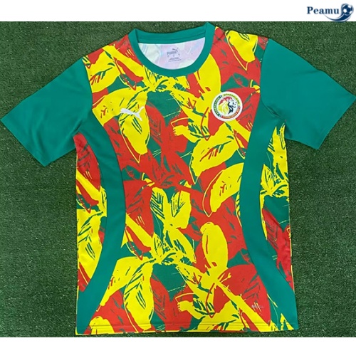 Acquistare Maglia Calcio Senegal Training 2024-2025