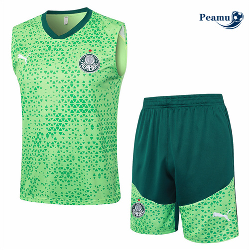 Fornire Kit Maglia Formazione Palmeiras Canotta + Pantaloncini verde 2024-2025