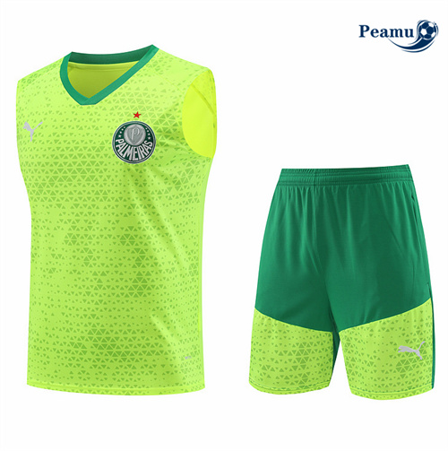 Offrire Kit Maglia Formazione Palmeiras Canotta + Pantaloncini giallo 2024-2025