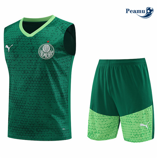 Shopping Kit Maglia Formazione Palmeiras Canotta + Pantaloncini verde 2024-2025