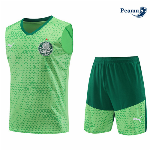 Sconto Kit Maglia Formazione Palmeiras Canotta + Pantaloncini verde 2024-2025