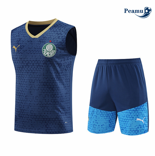 Acquistare Kit Maglia Formazione Palmeiras Canotta + Pantaloncini Blu 2024-2025