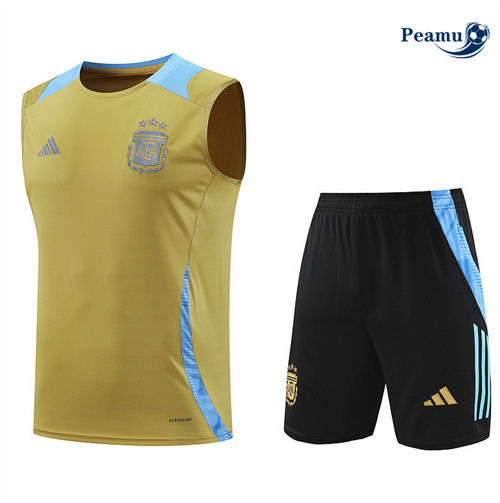 Grossista Kit Maglia Formazione Argentina Canotta + Pantaloncini giallo 2024-2025