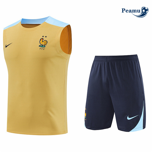 Sconto Kit Maglia Formazione Francia Canotta + Pantaloncini giallo 2024-2025