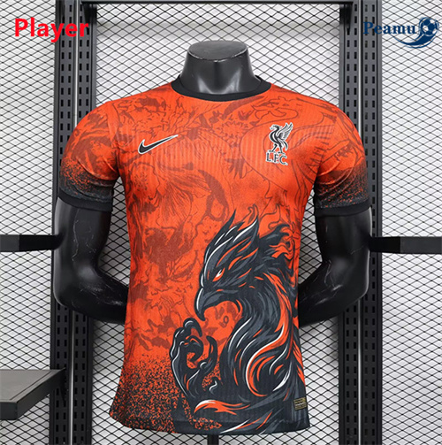 Maglia Calcio Liverpool Player Special 2024-2025