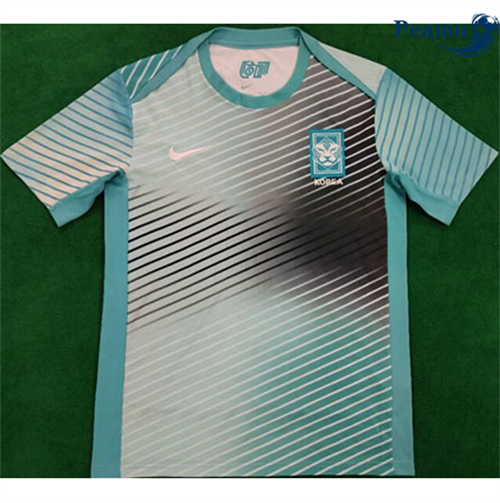 Maglia Calcio Corea Training 2024-2025