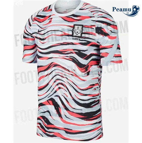 Maglia Calcio Corea Entraînement 2020-2021