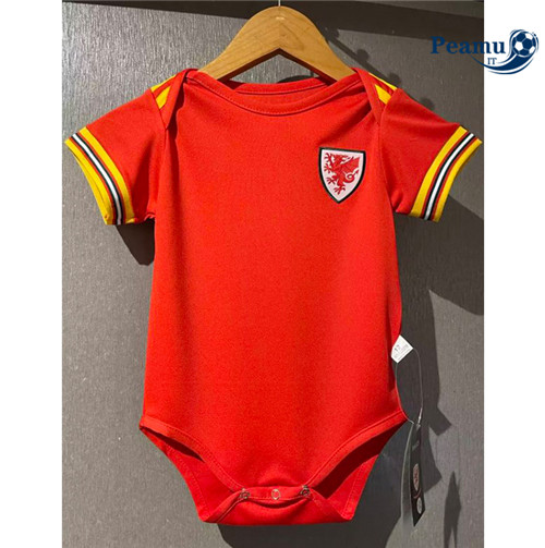 Maglia Calcio Pays de Galles bambino Prima 2022-2023 P228229