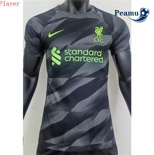Maglia Calcio Player Liverpool Portero Gris 2023