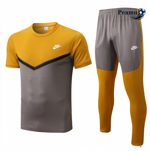 Kit Maglia Formazione Nike + Pantaloni Jaune/Gris 2022-2023 I0095