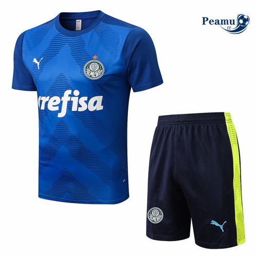 Kit Maglia Formazione Palmeiras + Pantaloni Bleu 2022-2023 I0237