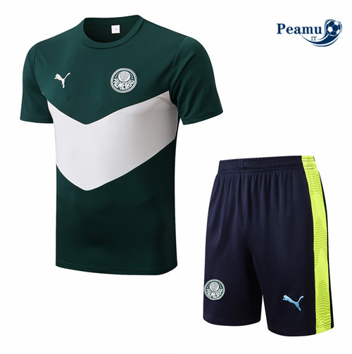 Kit Maglia Formazione Palmeiras + Pantaloni Vert 2022-2023 I0238