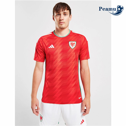 Maglia Calcio Galles Prima 2022-2023 I0827