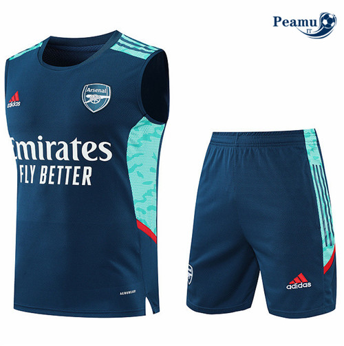 Kit Maglia Formazione Arsenal Debardeur + Pantaloni 2022-2023 pit142