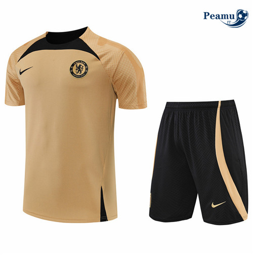 Kit Maglia Formazione Chelsea + Pantaloni 2022-2023 pit152