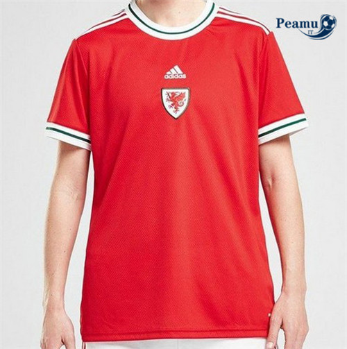 Nuova Arrivo Maglie Galles Donna personalizzate