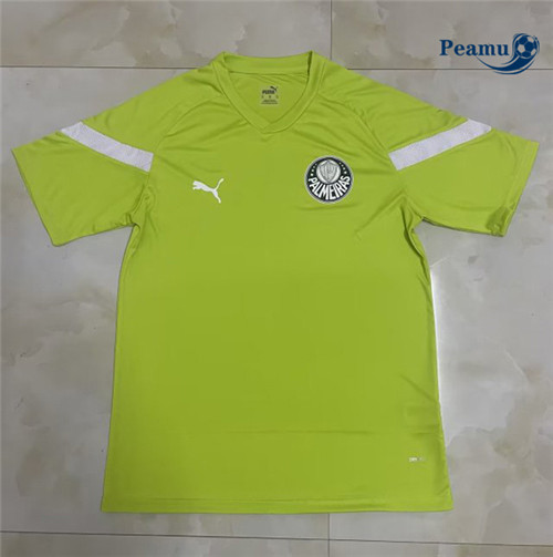 peamu Maglia Calcio Palmeiras Formazione Verde Gazon 2022-2023 PA2179