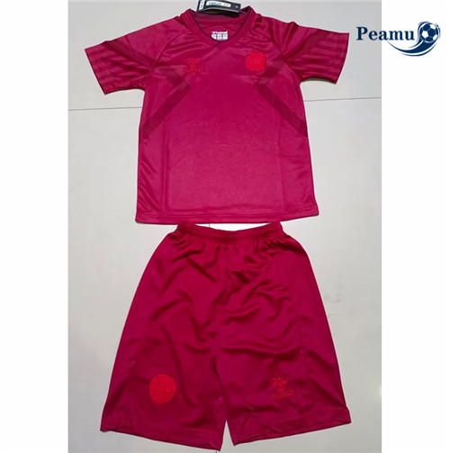 peamu.it - pt083 Maglia Calcio Danemark Enfant Domicile 2022-2023