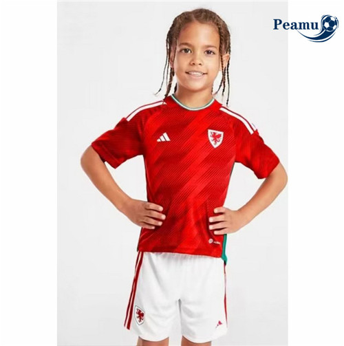 peamu.it - pt099 Maglia Calcio Pays de Galles Bambino Prima 2022-2023