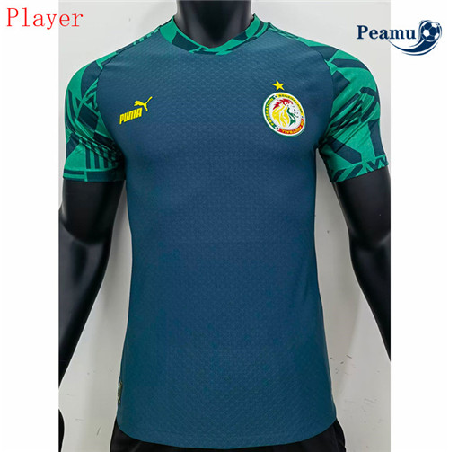 peamu.it - pt375 Maglia Calcio Player Senegal pre-match Training 2022-2023