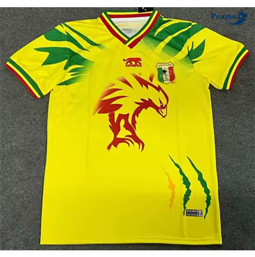 Maglie Calcio Camerun Notizia Giallo 2023-2024