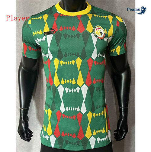 Maglie Calcio Senegal Player Verde 2023-2024