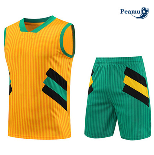 Creare Kit Maglia Formazione Calcio Bayern Monaco Debardeur + Pantaloni Giallo 2023-2024