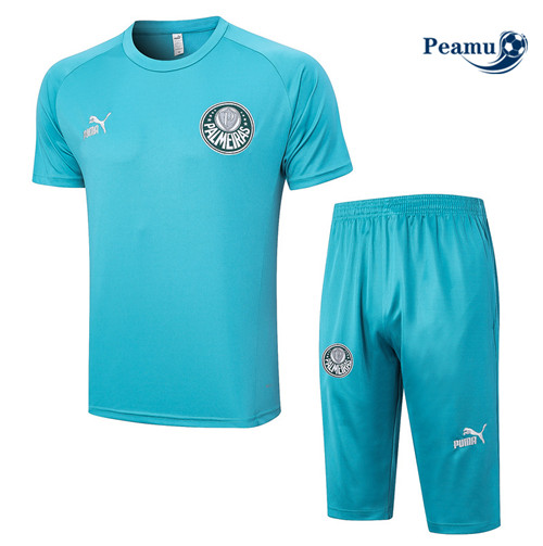 Promozionale Kit Maglia Formazione Calcio Palmeiras + Pantaloni 3/4 + Pantaloni Blu 2023-2024