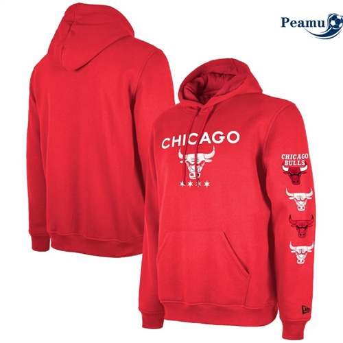 Vendere Maglia Giacca Con Cappuccio Chicago Bulls 2024 - City