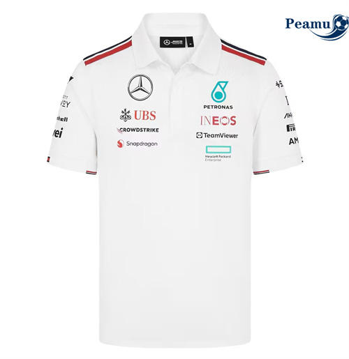 Acquista Maglia Polo Mercedes AMG Petronas F1 2024