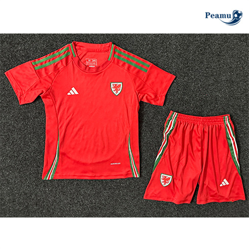 Scelta Maglia Calcio Gales Bambino Prima 2024-2025