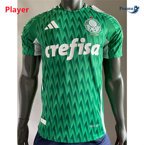 Acquistare Maglia Calcio Player Palmeiras especial Verde 2024-2025