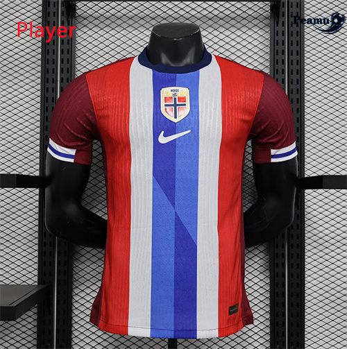 Comperare Maglia Calcio Player Noruega Prima 2024-2025