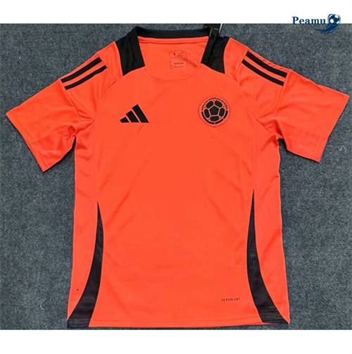 Acquista Maglia Calcio Colombia Training 2024-2025