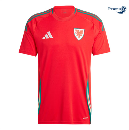 Negozio Maglia Calcio Gales Prima 2024-2025