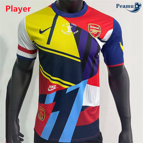 Maglia Calcio Player Arsenal commémorer 2013