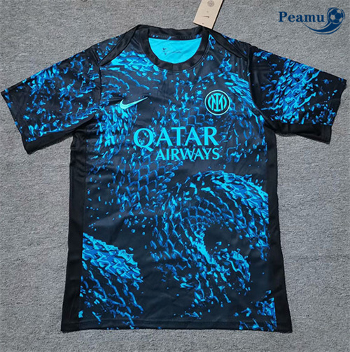 Maglia Calcio Inter Milan Speciale Blu 2025-2026
