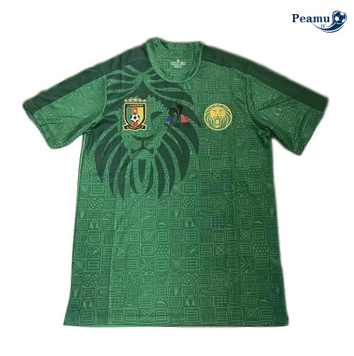 Maglia Calcio Camerun Prima Verde Neroatre 2019-2020